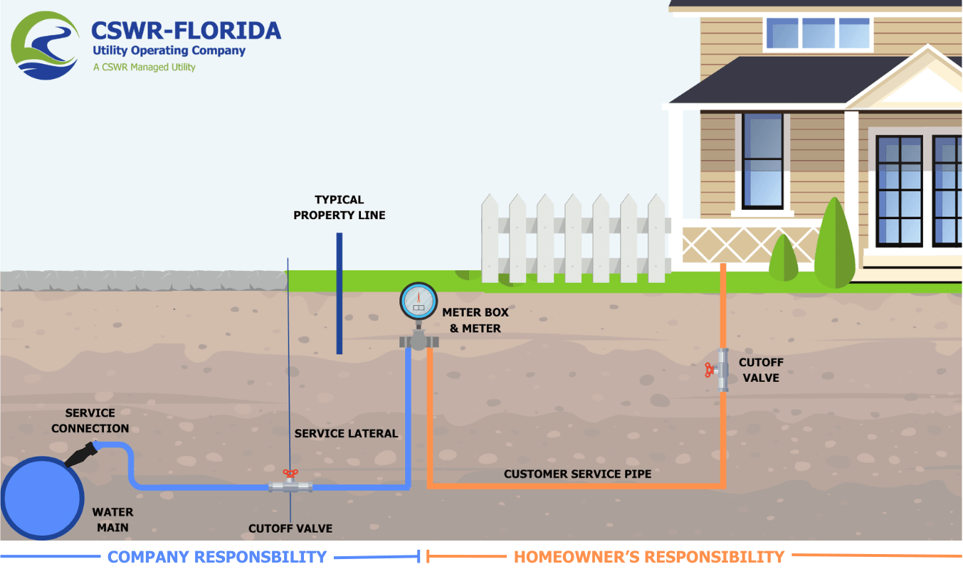 CSWR-Florida Graphic