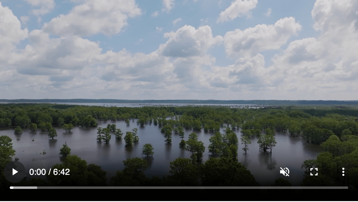 Louisiana
