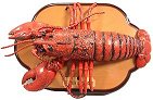 LARRYLOBSTER